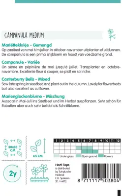 Horti tops zaden campanula, mariëtteklokje calycanthema gemengd - afbeelding 2