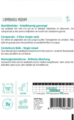 Horti tops zaden campanula, mariëtteklokje enkelbloemig gemengd - afbeelding 2