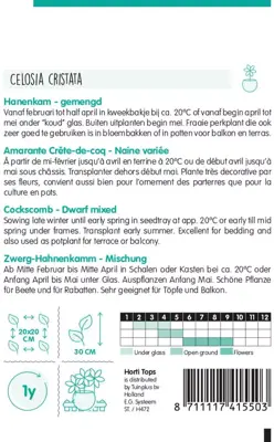 Horti tops zaden celosia, hanenkam gemengd - afbeelding 2