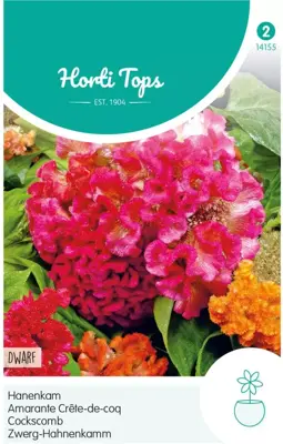 Horti tops zaden celosia, hanenkam gemengd - afbeelding 1