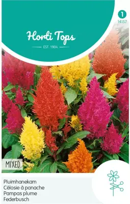 Horti tops zaden celosia, hanenkam (plumosa) gemengd - afbeelding 1