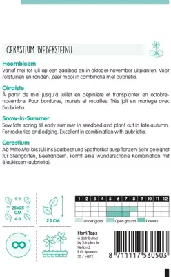 Horti tops zaden cerastium, hoornbloem wit - afbeelding 2