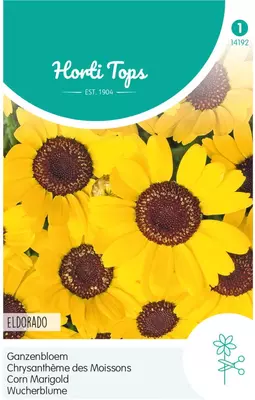 Horti tops zaden chrysanthemum, ganzebloem eldorado geel - afbeelding 1
