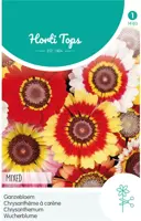 Horti tops zaden chrysanthemum, ganzebloem gemengd - afbeelding 1