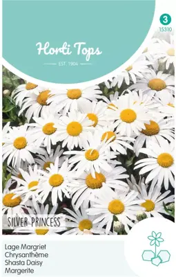 Horti tops zaden chrysanthemum, lage margriet silver princess - afbeelding 1
