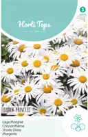 Horti tops zaden chrysanthemum, lage margriet silver princess - afbeelding 1