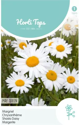 Horti tops zaden chrysanthemum, margriet may queen - afbeelding 1