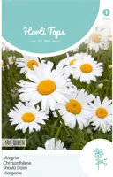 Horti tops zaden chrysanthemum, margriet may queen - afbeelding 1