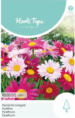 Horti tops zaden chrysanthemum, perzische magriet robinson's giants - afbeelding 1