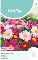 Horti tops zaden chrysanthemum, perzische magriet robinson's giants kopen?