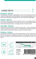Horti tops zaden Cineraria, Wit Askruid Diamant - afbeelding 2