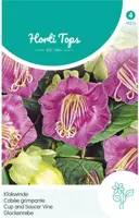 Horti tops zaden cobaea, Klokwinde blauw kopen?