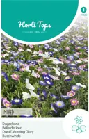 Horti tops zaden convolvulus, dagschone gemengd - afbeelding 1