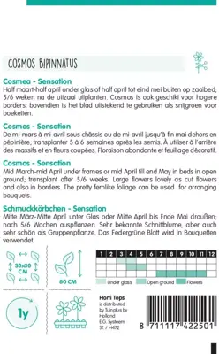 Horti tops zaden cosmos, cosmea sensation gemengd - afbeelding 2