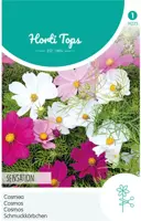 Horti tops zaden cosmos, cosmea sensation gemengd - afbeelding 1