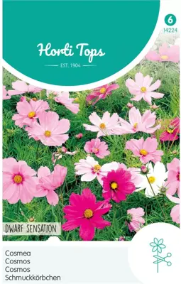 Horti tops zaden cosmos, cosmea sonata gemengd - afbeelding 1