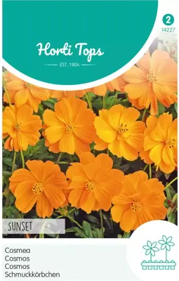 Horti tops zaden cosmos, cosmea sunset oranje-rood - afbeelding 1