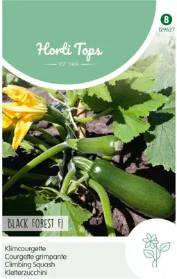 Horti tops zaden courgette black forest - afbeelding 1