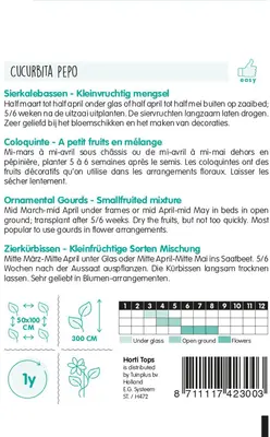 Horti tops zaden cucurbita, sierkalebas kleinvruchtig gemengd - afbeelding 2