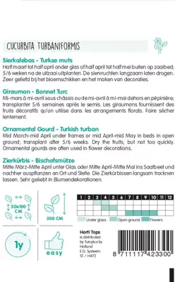 Horti tops zaden cucurbita, sierkalebas turkse muts - afbeelding 2