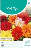 Horti tops zaden dahlia unwin's hybride gemengd kopen?