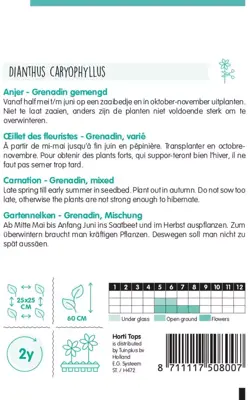 Horti tops zaden dianthus, anjer grenadin gemengd - afbeelding 2