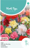 Horti tops zaden dianthus, anjer grenadin gemengd - afbeelding 1