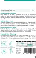 Horti tops zaden dianthus, chabaud anjer gemengd - afbeelding 2