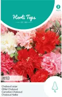 Horti tops zaden dianthus, chabaud anjer gemengd - afbeelding 1