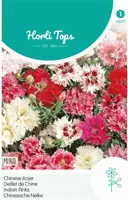 Horti tops zaden dianthus, chines anjer dubbelbloemig gemengd - afbeelding 1