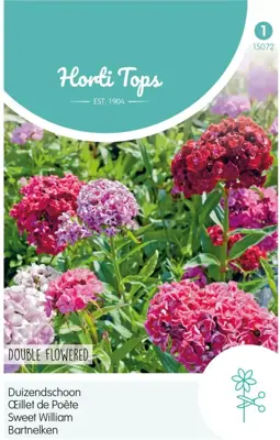 Horti tops zaden dianthus, duizendschoon dubbelbloemig gemengd - afbeelding 1