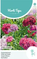 Horti tops zaden dianthus, duizendschoon dubbelbloemig gemengd kopen?