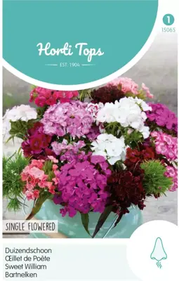 Horti tops zaden dianthus, duizendschoon enkelbloemig gemengd - afbeelding 1