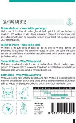 Horti tops zaden dianthus, duizendschoon wee willie gemengd - afbeelding 2