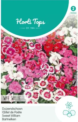 Horti tops zaden dianthus, duizendschoon wee willie gemengd - afbeelding 1