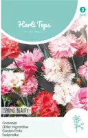 Horti tops zaden Dianthus, Grasanjer Spring Beauty kopen?