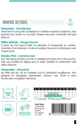 Horti tops zaden dianthus, steenanjer karmijnrose - afbeelding 2