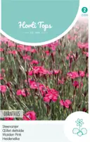 Horti tops zaden dianthus, steenanjer karmijnrose - afbeelding 1