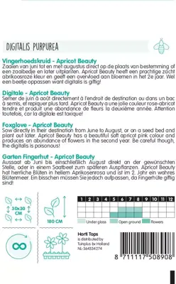 Horti tops zaden Digitalis apricot beauty 0.5g - afbeelding 2