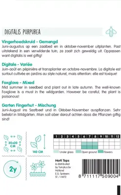 Horti tops zaden digitalis, vingerhoedskruid gemengd - afbeelding 2