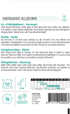 Horti tops zaden dorotheanthus, ijs- of middagbloem gemengd - afbeelding 2