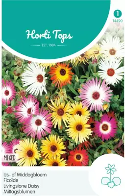 Horti tops zaden dorotheanthus, ijs- of middagbloem gemengd - afbeelding 1