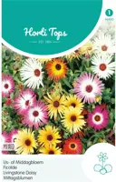 Horti tops zaden dorotheanthus, ijs- of middagbloem gemengd - afbeelding 1