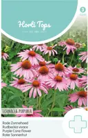 Horti tops zaden Echinacea, Rode Zonnehoed - afbeelding 1