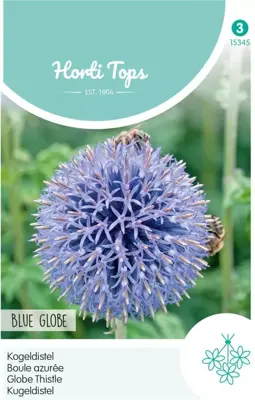 Horti tops zaden echinops, kogeldistel blue globe - afbeelding 1