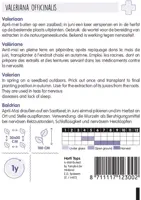 Horti tops zaden echte valeriaan - afbeelding 2