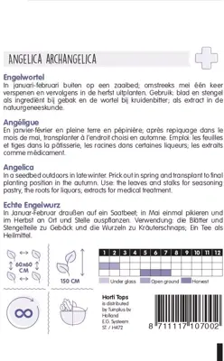 Horti tops zaden Engelwortel - afbeelding 2