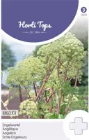 Horti tops zaden Engelwortel - afbeelding 1