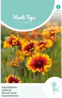 Horti tops zaden Gaillardia, Kokardebloem kopen?