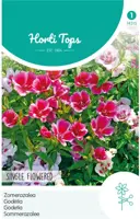 Horti tops zaden godetia, zomerazalea enkelbloemig gemengd kopen?